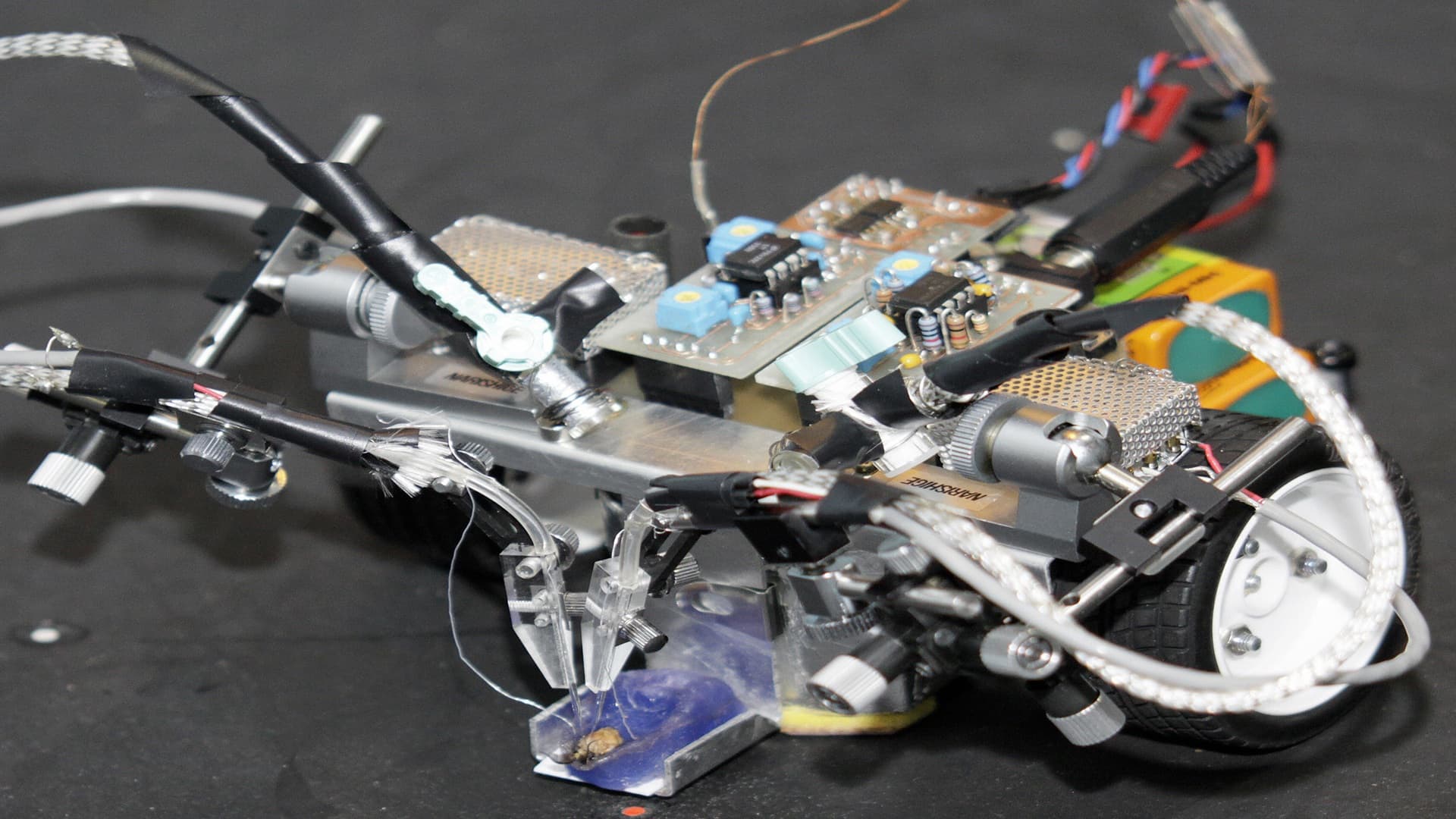 Silkworm-inspired robot tracks odors even after losing one sensor