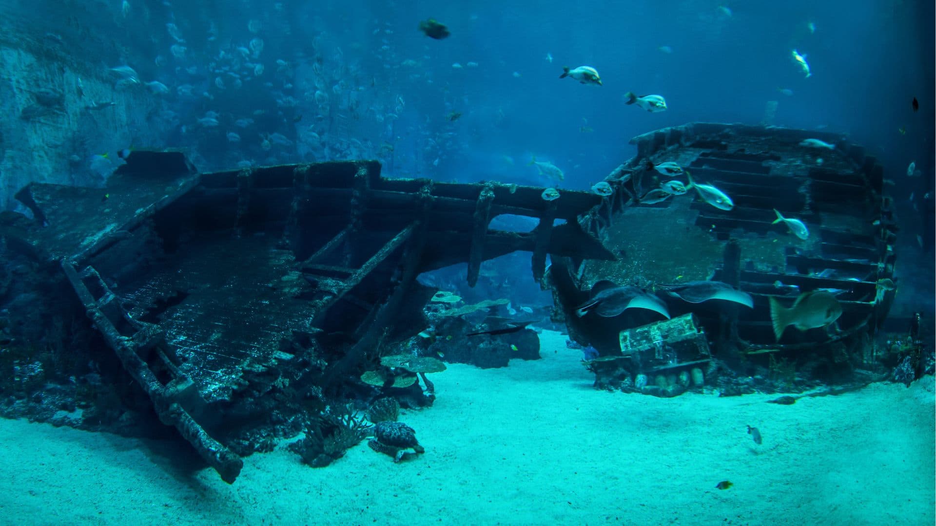 328-foot-long ship graveyard unearthed near 2,000-year-old Greek city