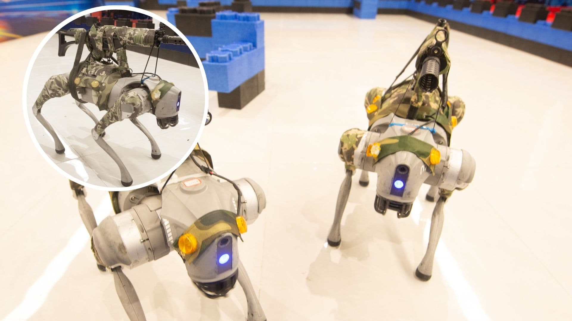 China’s rifle-toting robot dogs operate like swarm platform, can transform modern warfare