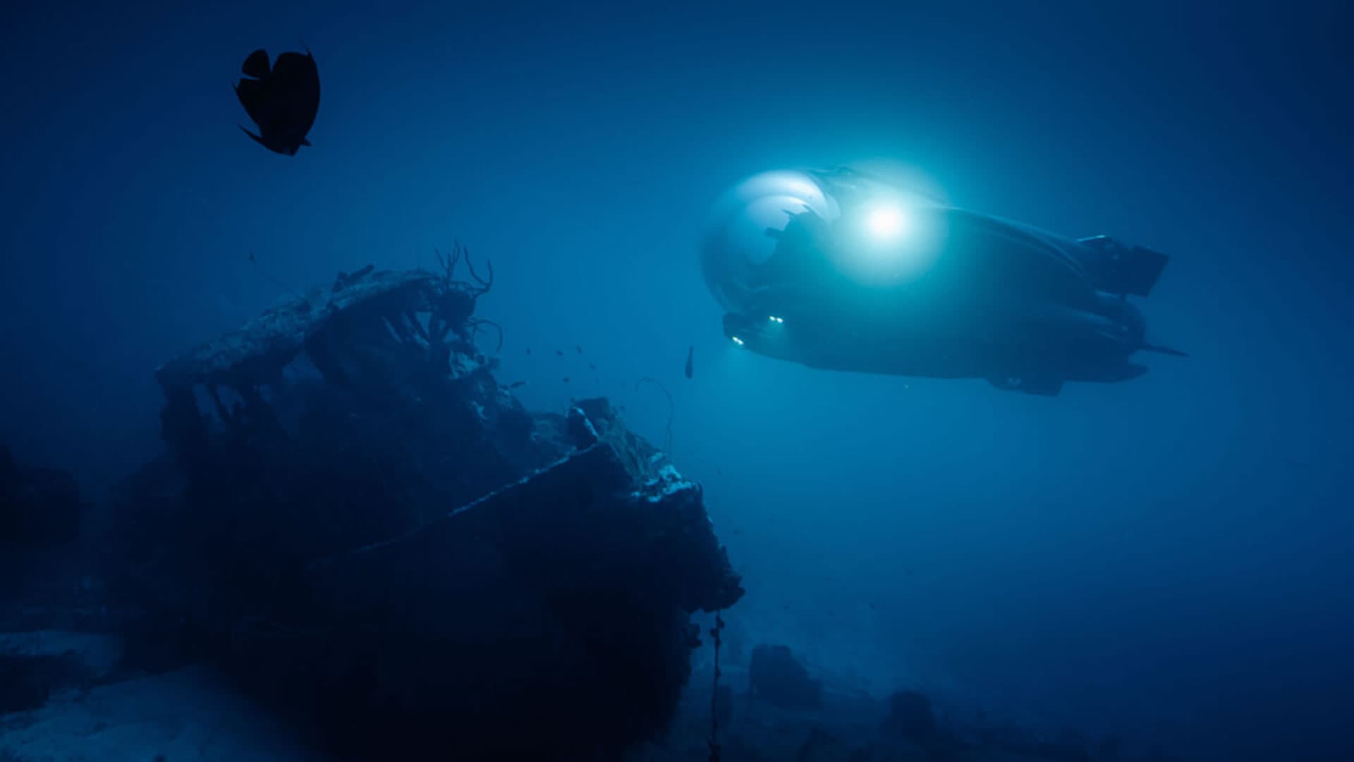 World’s fastest private ‘underwater supercar’: Dutch firm launches mini-sub with 11.5 mph speed