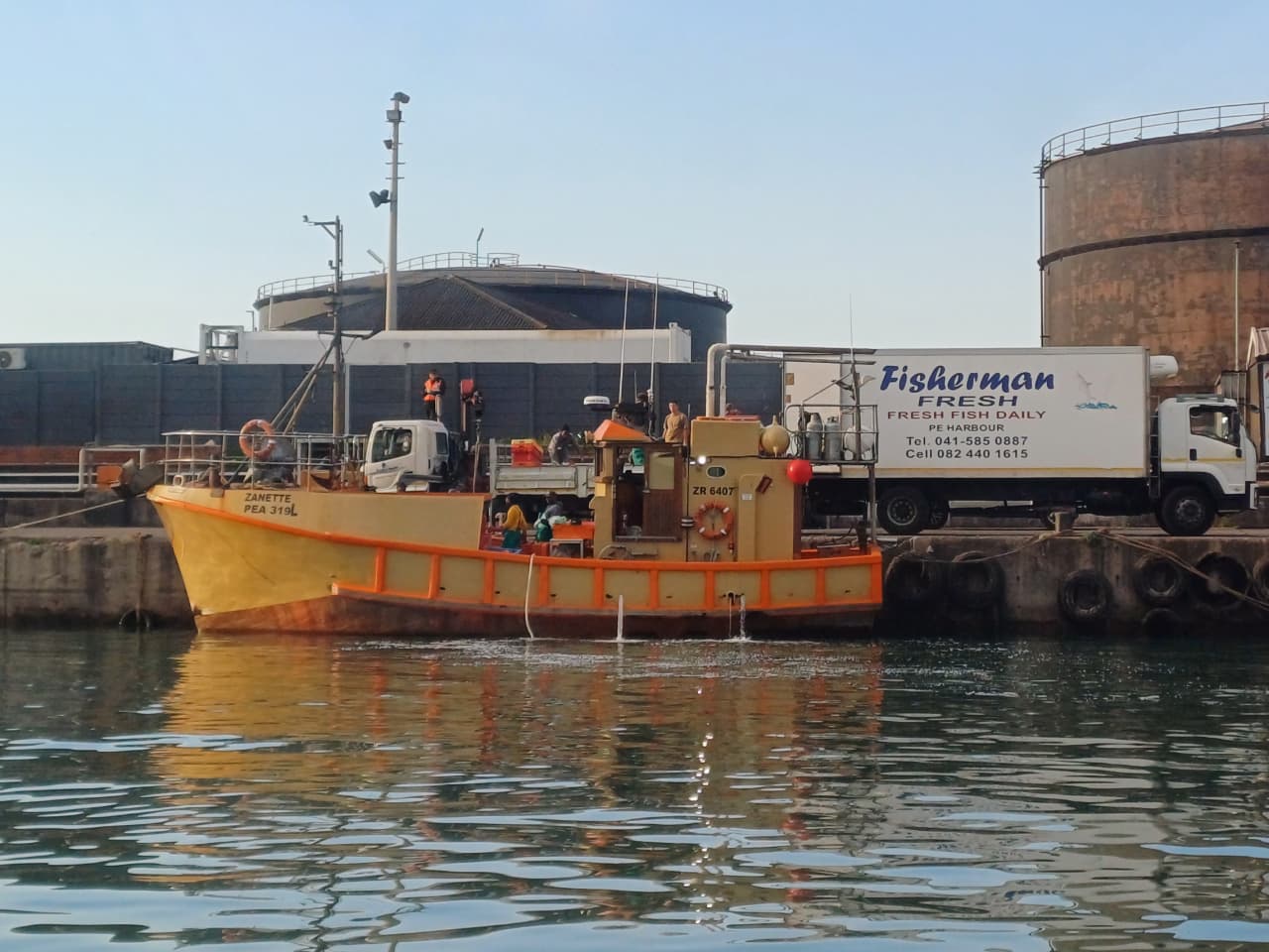 Investigation of permit violations in South Africa’s shark fishery pending