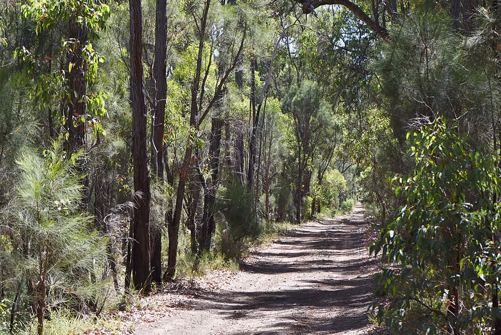 Alcoa pays Australian feds $36 million for ‘unlawful’ forest clearing