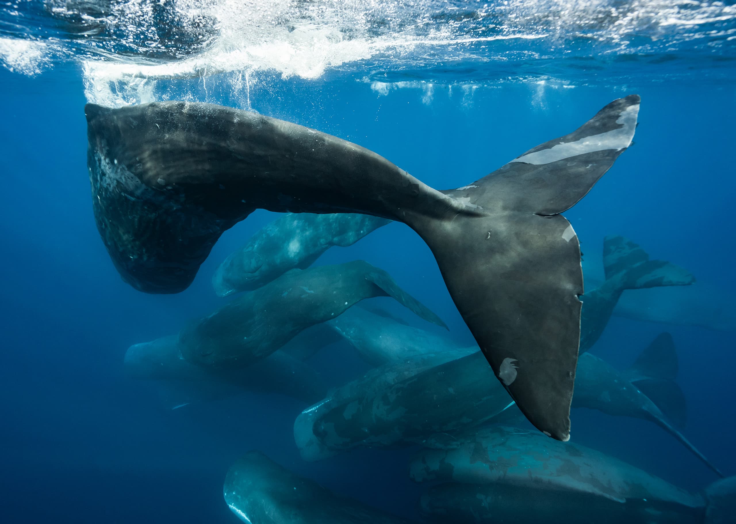 The ocean’s enforcement gap