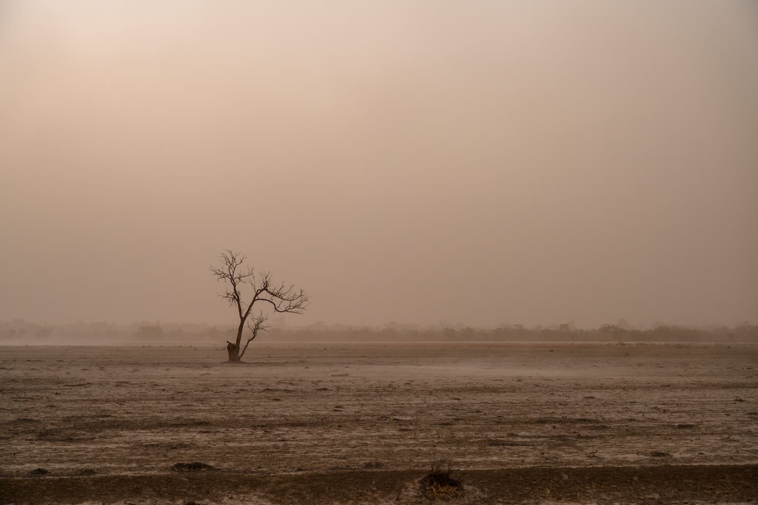Heatwaves driving recent ‘surge’ in compound drought and heat extremes