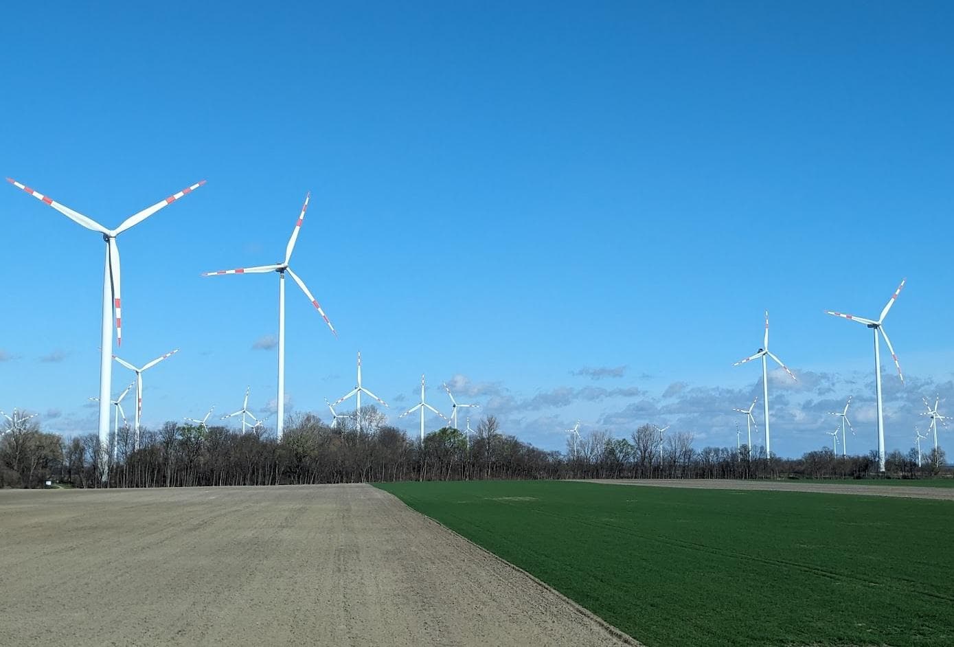 ESG Today: Week in Review - ESG Today